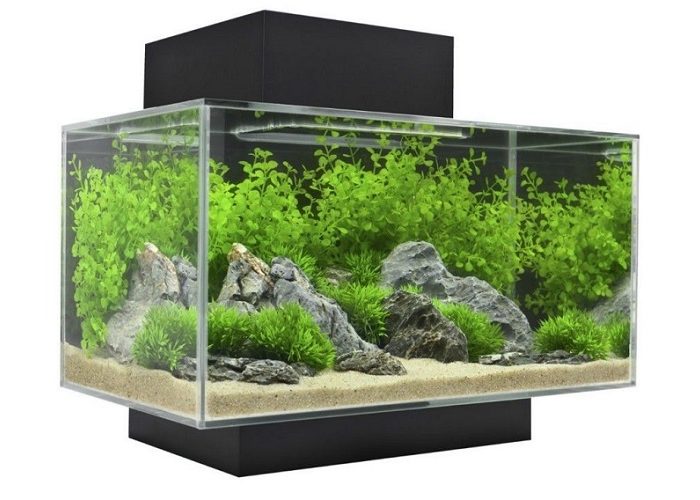 Aquarium production job