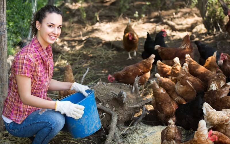 Poultry Farm Worker